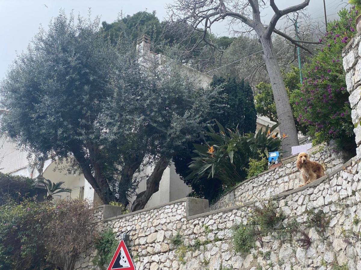 Regina Di Capri - Suite Vista Faraglioni Exterior foto